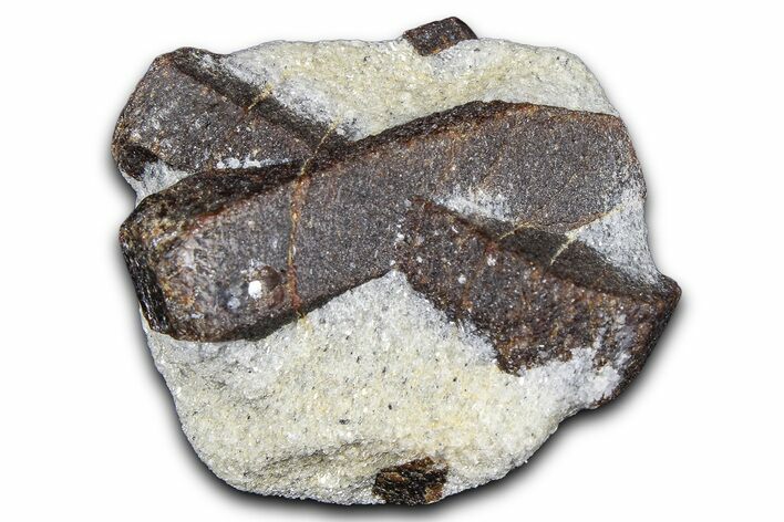 Twinned Staurolite Cross In Glittering Mica-Schist - Russia #380643